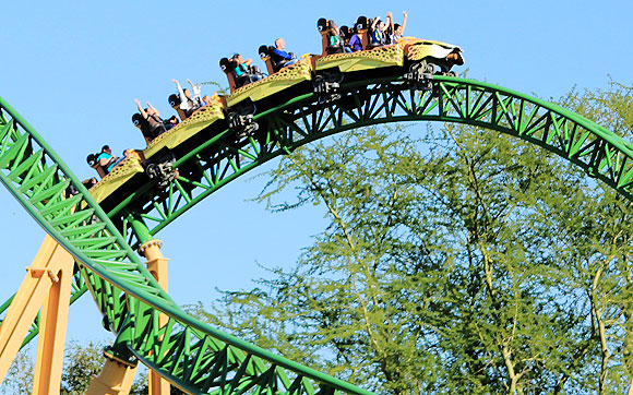 Cheetah-Hunt-(1)
