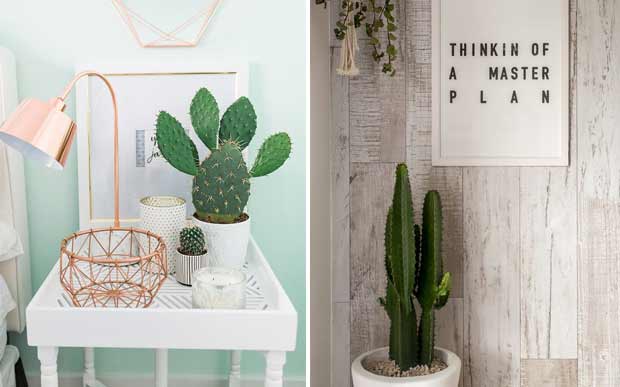 decor-plantas-1