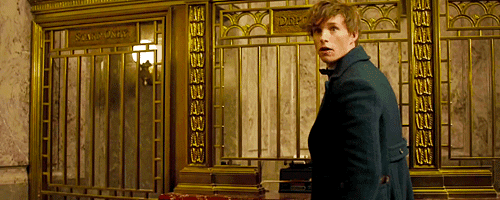 animais-fantasticos-newt animais-fantasticos-newt