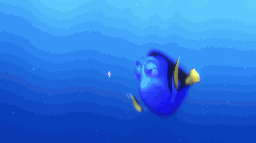 peixes-procurando-dory