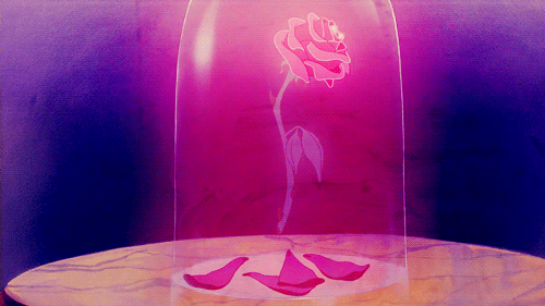 a-bela-e-a-fera-flor a-bela-e-a-fera-flor