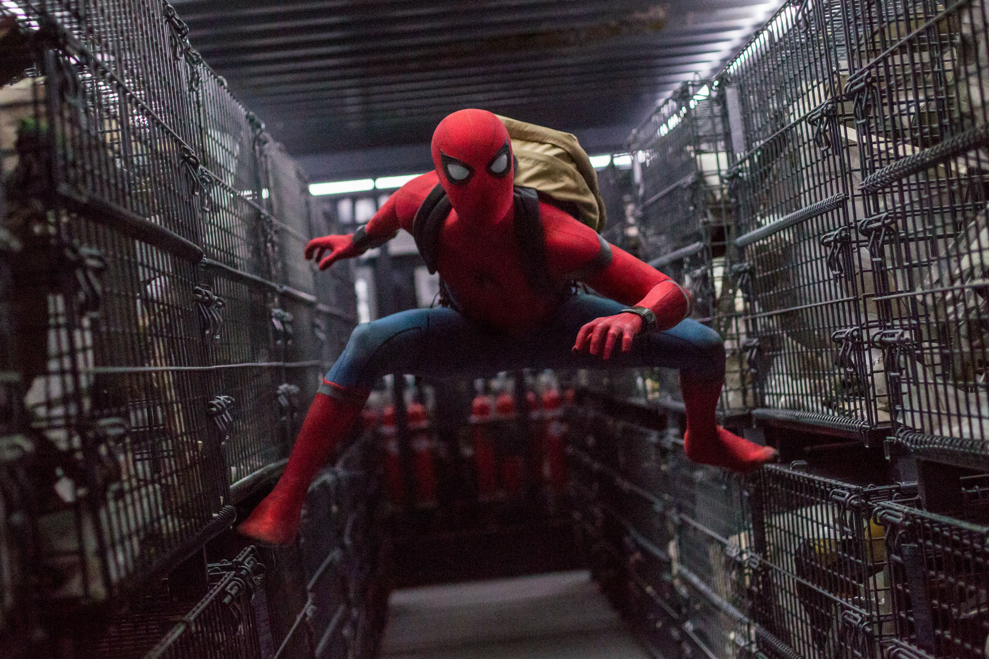 homem-aranha-de-volta-ao-lar