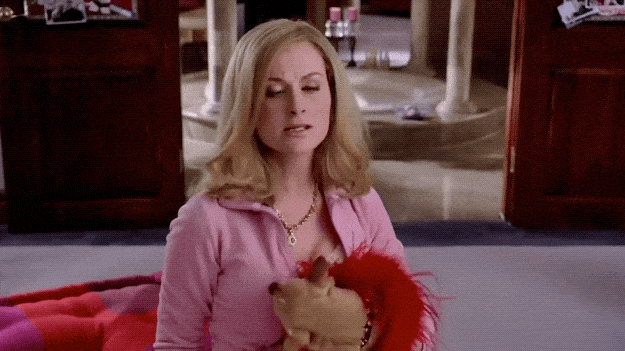 amy-pohler-regina-george-mae-meninas-malvadas-cachorro amy-pohler-regina-george-mae-meninas-malvadas-cachorro