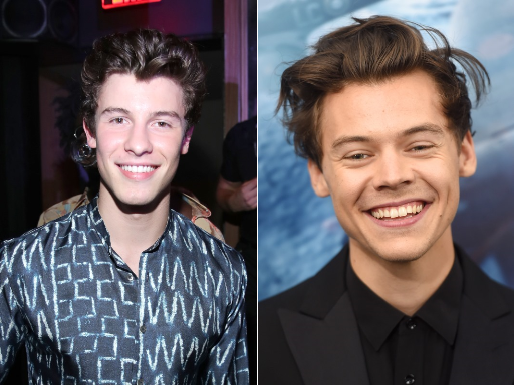 shawn-mendes-curte-show-harry-styles-canada