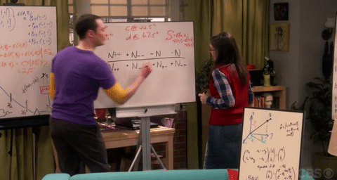 big bang sheldon amy