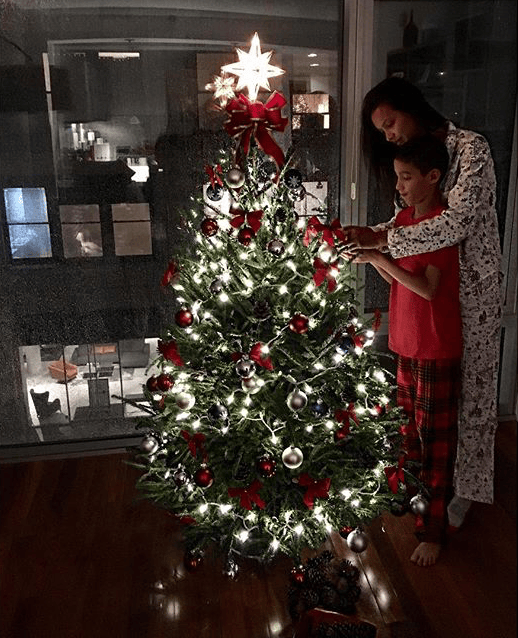 lais-ribeiro-arvore-de-natal