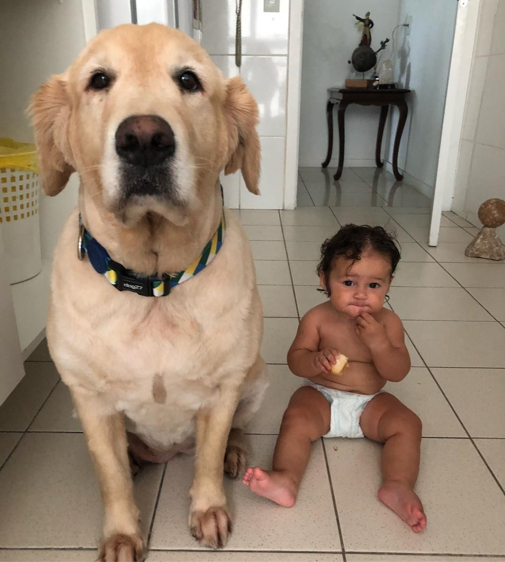 madalena-gissoni-cachorrinho