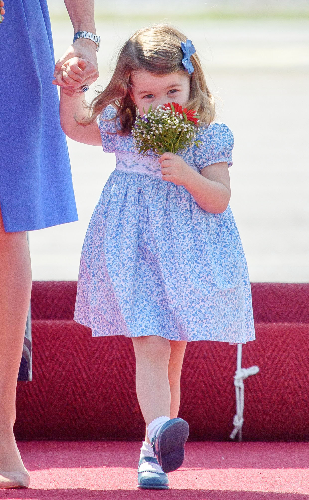 princesa-charlotte-flores princesa-charlotte-flores