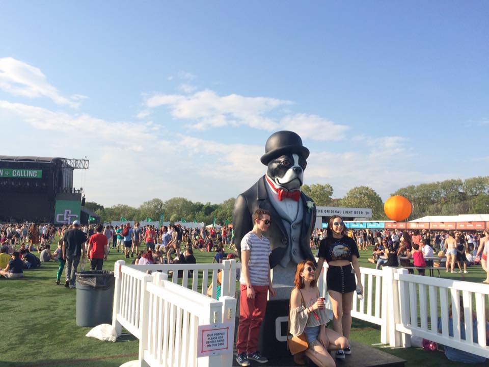 boston-calling-cachorro boston-calling-cachorro