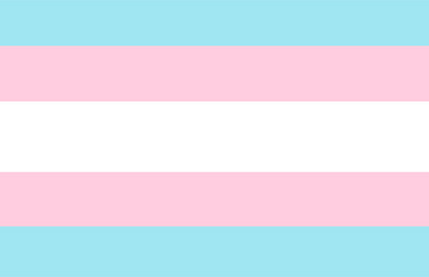 Bandeira do Orgulho Trans | Orgulho Transexual Bandeira do Orgulho Trans | Orgulho Transexual