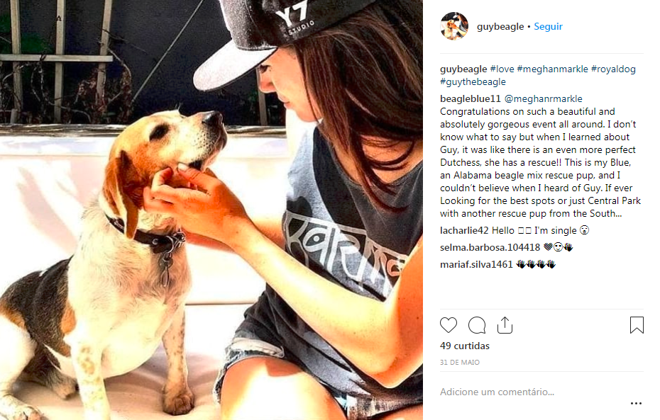 meghan-markle-cachorrinho