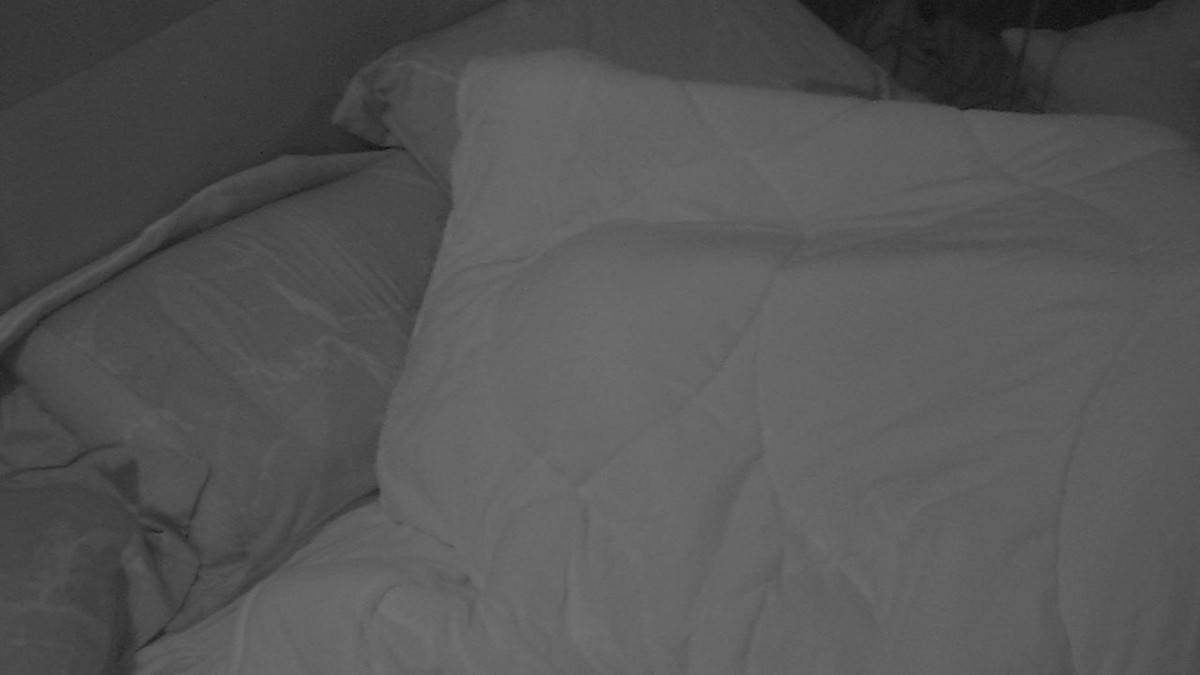 Hana e Alan têm primeira noite de sexo no BBB19 Hana e Alan transando no Big Brother Brasil 19