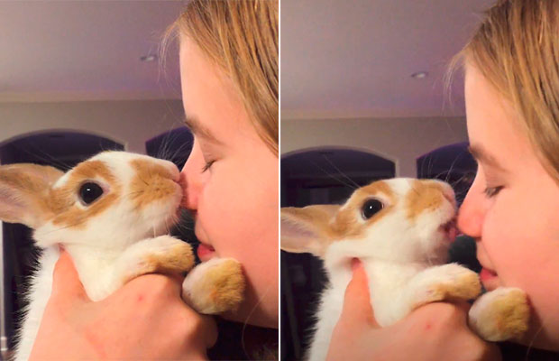 Coelho é resgatado por família após ser abandonado por ser muito beijoqueiro
