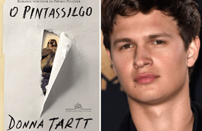 pintassilgo-ansel-elgort