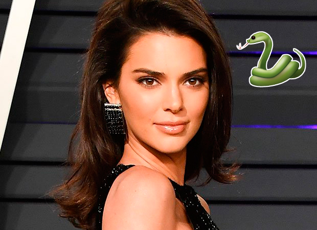 kendall-jenner-cabelo-cobra