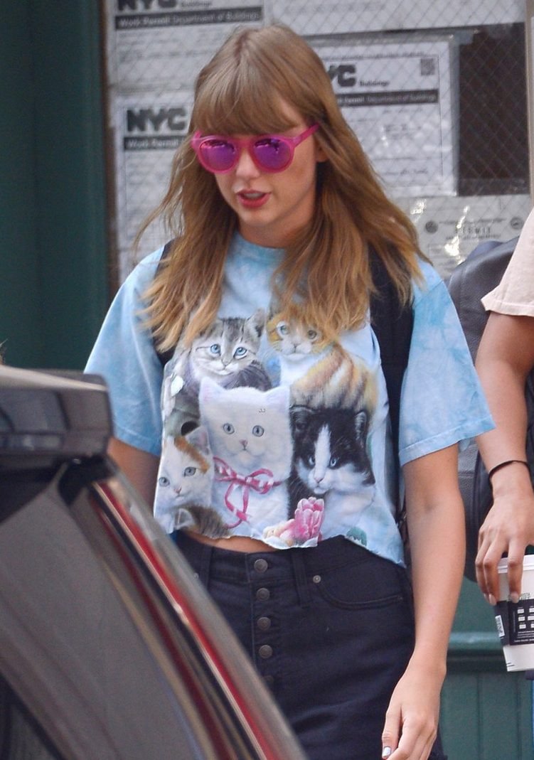 taylor-swift-camiseta-gatinho-2018