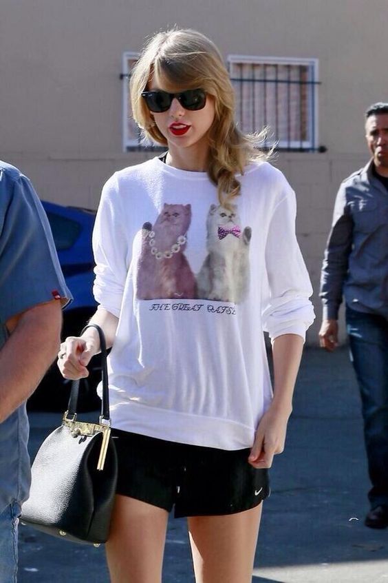 taylor-swift-sueter-gatinho-2014