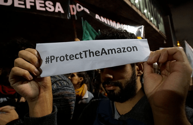 Além da hashtag: o que você pode fazer para ajudar a Amazônia?
