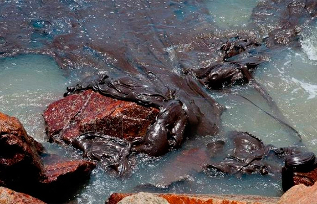 Petróleo no Nordeste já é o maior desastre ambiental do litoral brasileiro