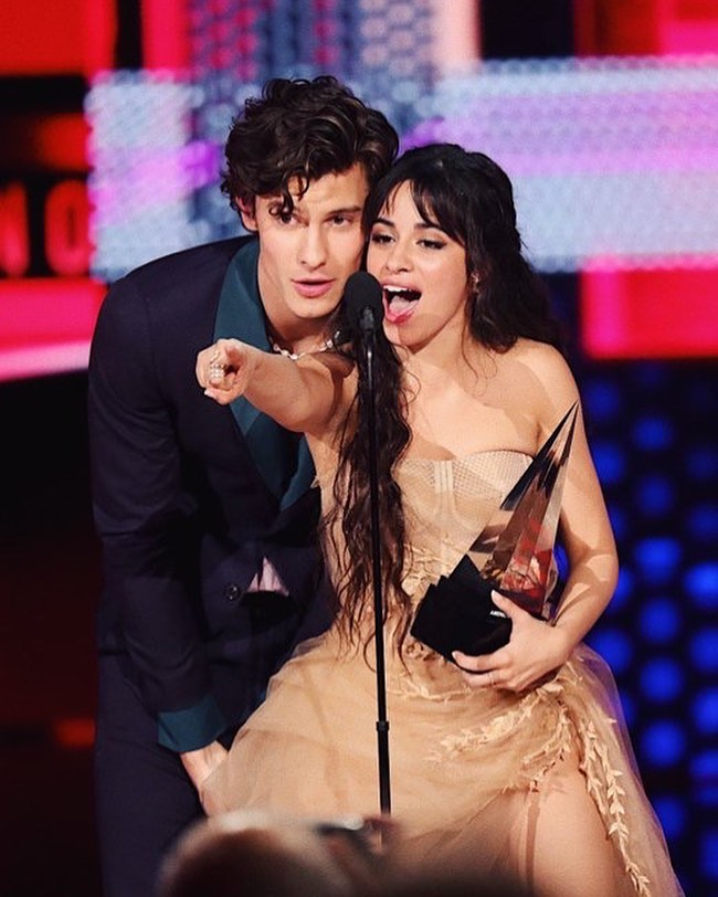 camila-cabello-shawn-mendes-american-music-awards