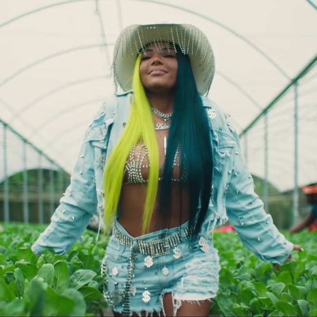 Look Ludmilla Clipe Verdinha2