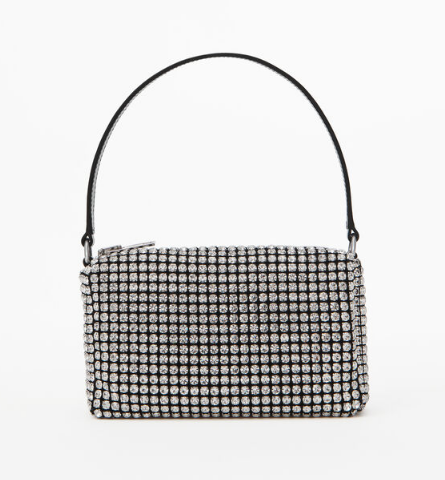 bolsa-stormi-webster-alexander-wang