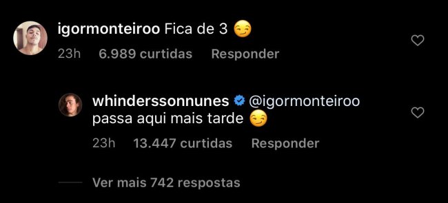 comentariowhindersson-zoando-flores