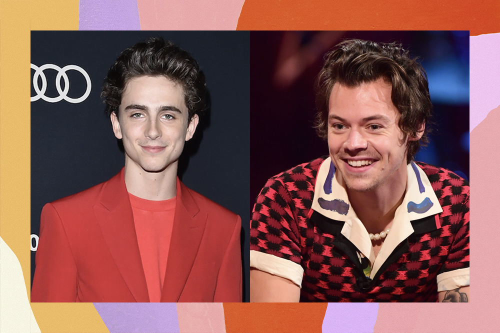 Timothée Chalamet e Harry Styles