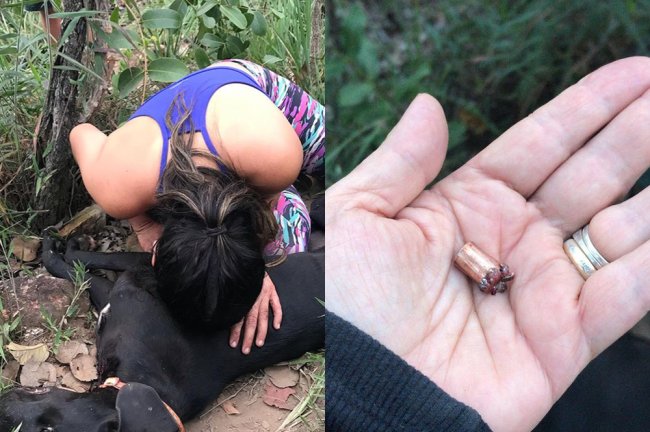 justicaporgatai Cachorra é morta por Polícia Ambiental no quintal de casa, acusam donos