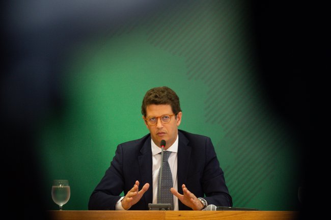 De Anitta a Dicaprio: 15 vezes que Ricardo Salles deu showzinho no Twitter Ricardo Salles, ministro do Meio Ambiente, discursando virtualmente no Climate Global Summit, nesta quinta-feira, 22