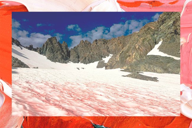 Imagem mostra neve com coloração rosa no Monte Ritter, nos Estados Unidos