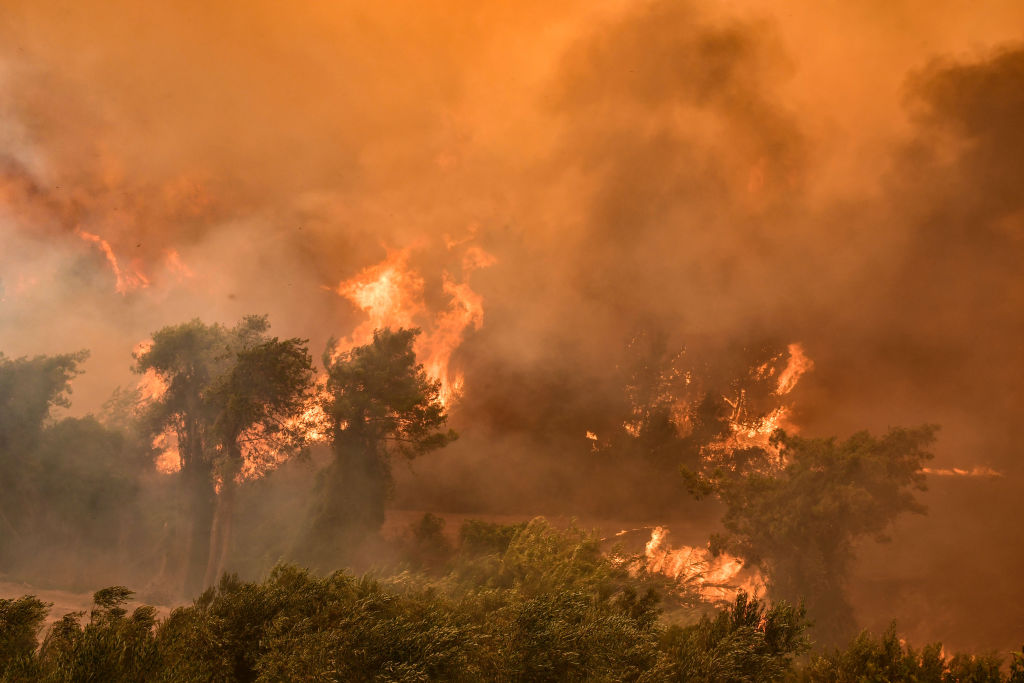 Imagem de uma floresta tomada de chamas; incêndios estão sendo registrados na Turquia