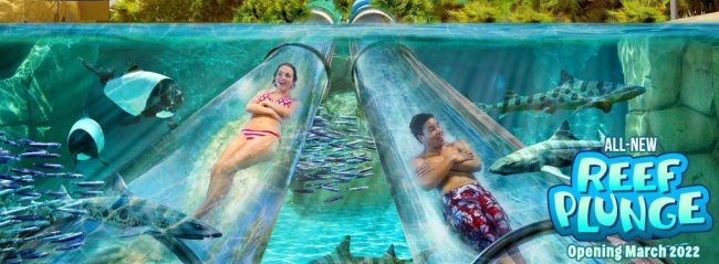 Hotel de Star Wars e montanhas-russas: as novidades de Orlando em 2022 Imagem de divulgação da nova atração no Aquatica, parque de Orlando. O toboágua é transparente e passa no meio da água