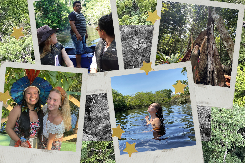 Montagem com fotos na Amazônia