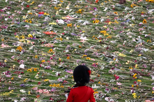 O adeus à Rainha Elizabeth II em imagens Soldado da guarda real contempla as milhares de flores deixadas para a Rainha Elizabeth II