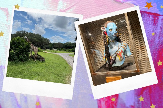 blog galera ch viagem para orlando fotos do parque Animal Kingdom, em orlando. Na esquerda é o registro de uma girafa e na direita a estatua da personagem principal de avatar
