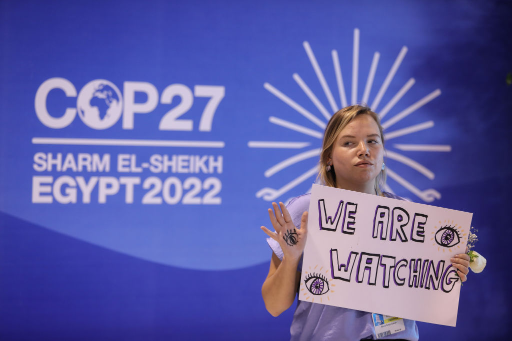 cop 27