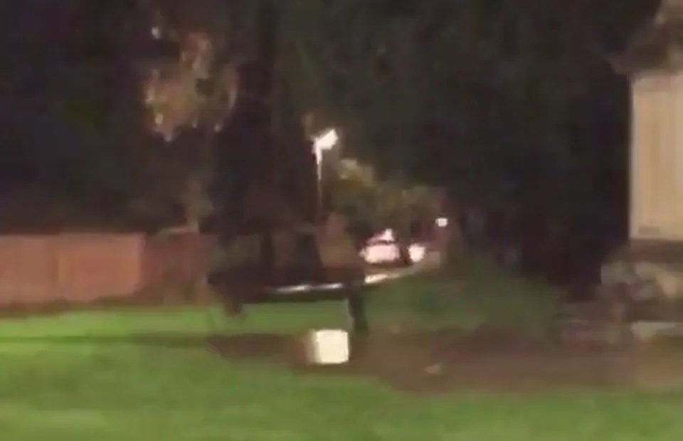 Imagem do possível fantasma