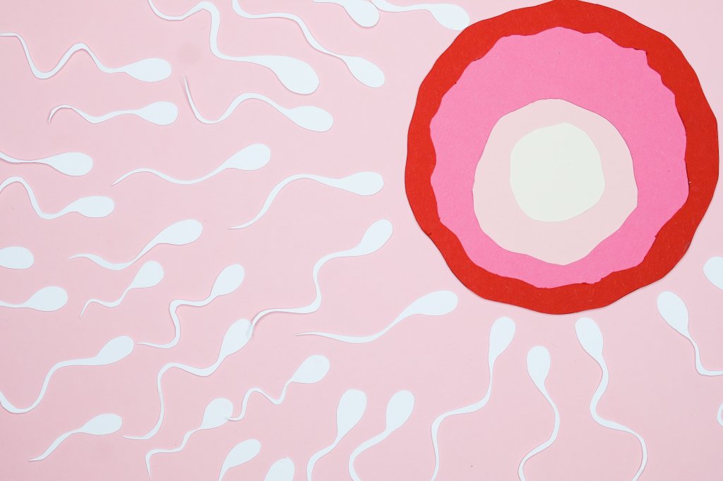 Ilustra de um óvulo rodeado de espermatozóides