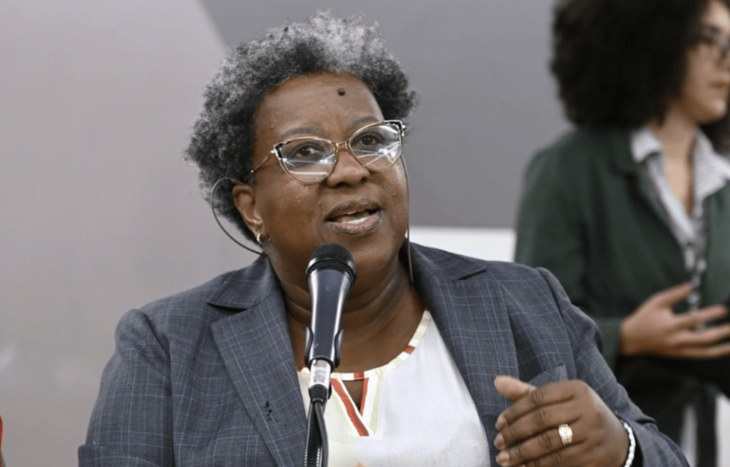 macaé evaristo direitos humanos