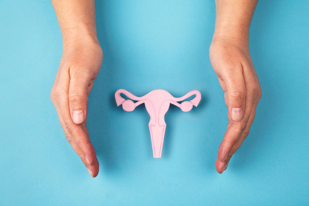 dignidade menstrual