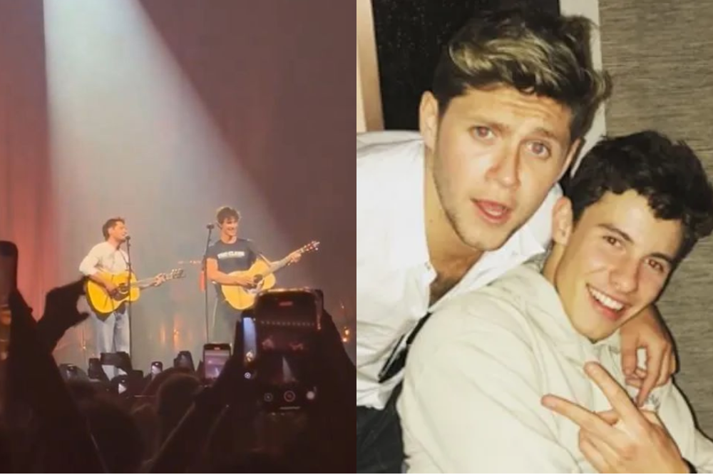 Shawn Mendes e Niall Horan