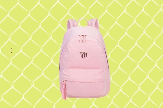 Mochila rosa clara em um fundo verde.