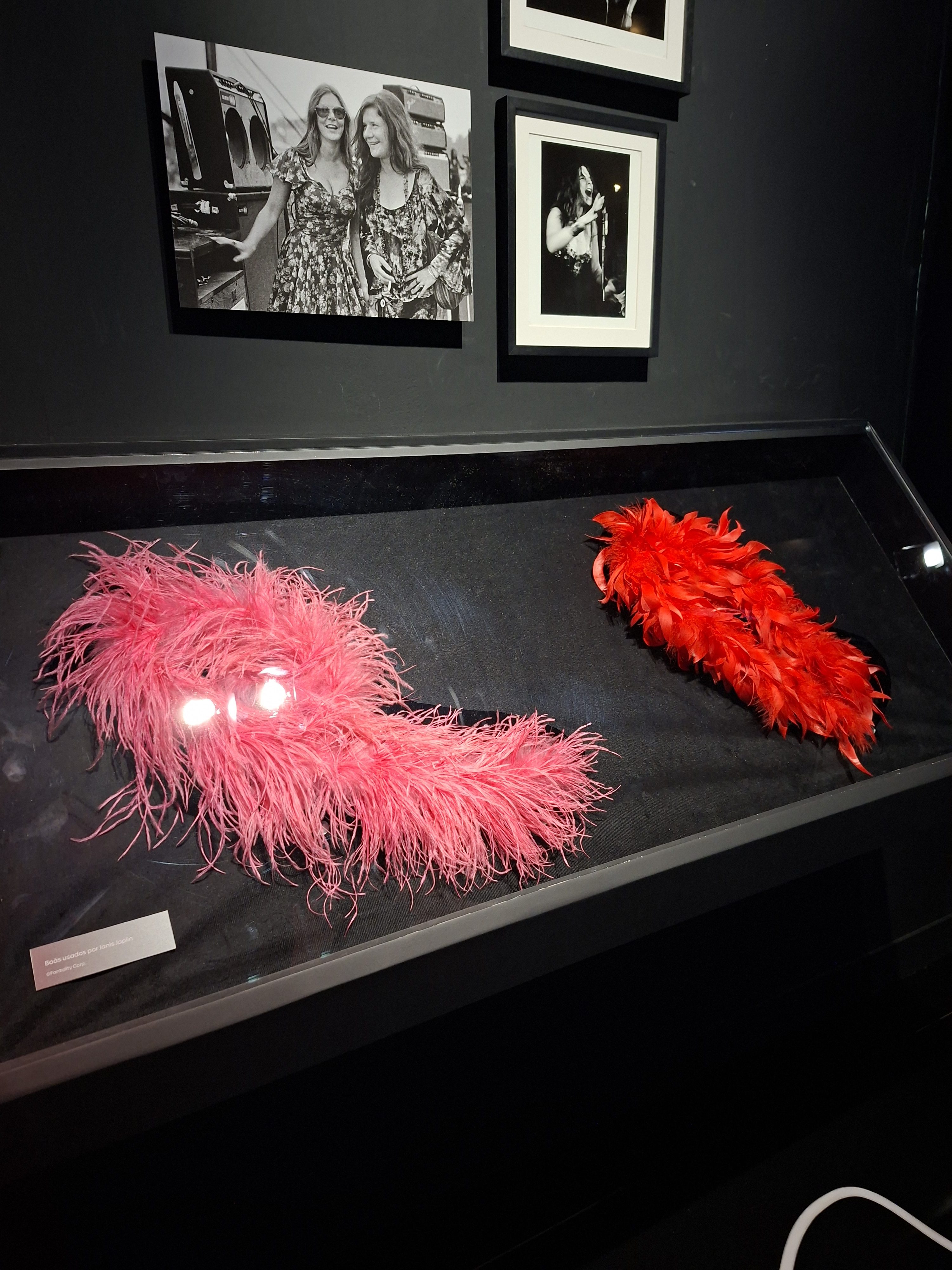 exposição Janis